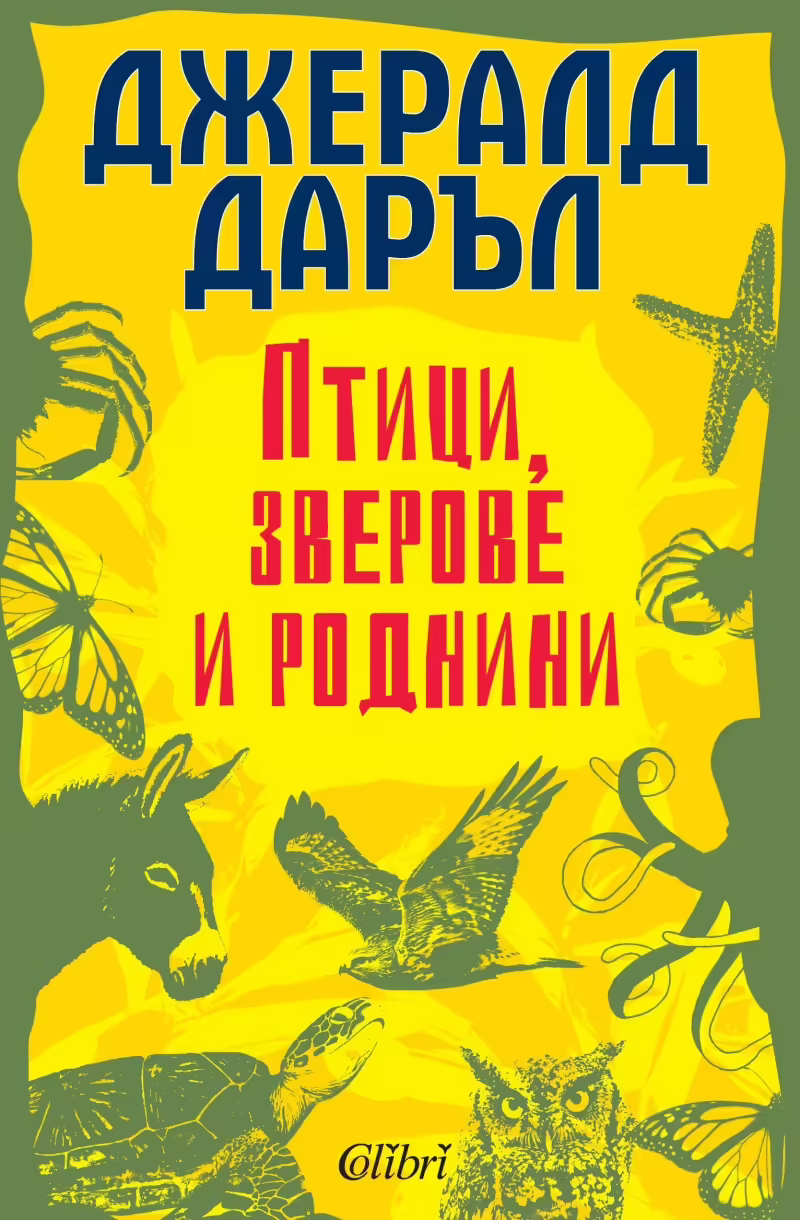 Корицата на 